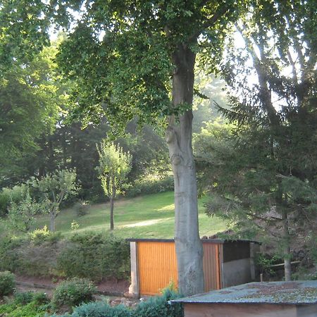 Ferienwohnung Sauerland Panorama Korbach Esterno foto