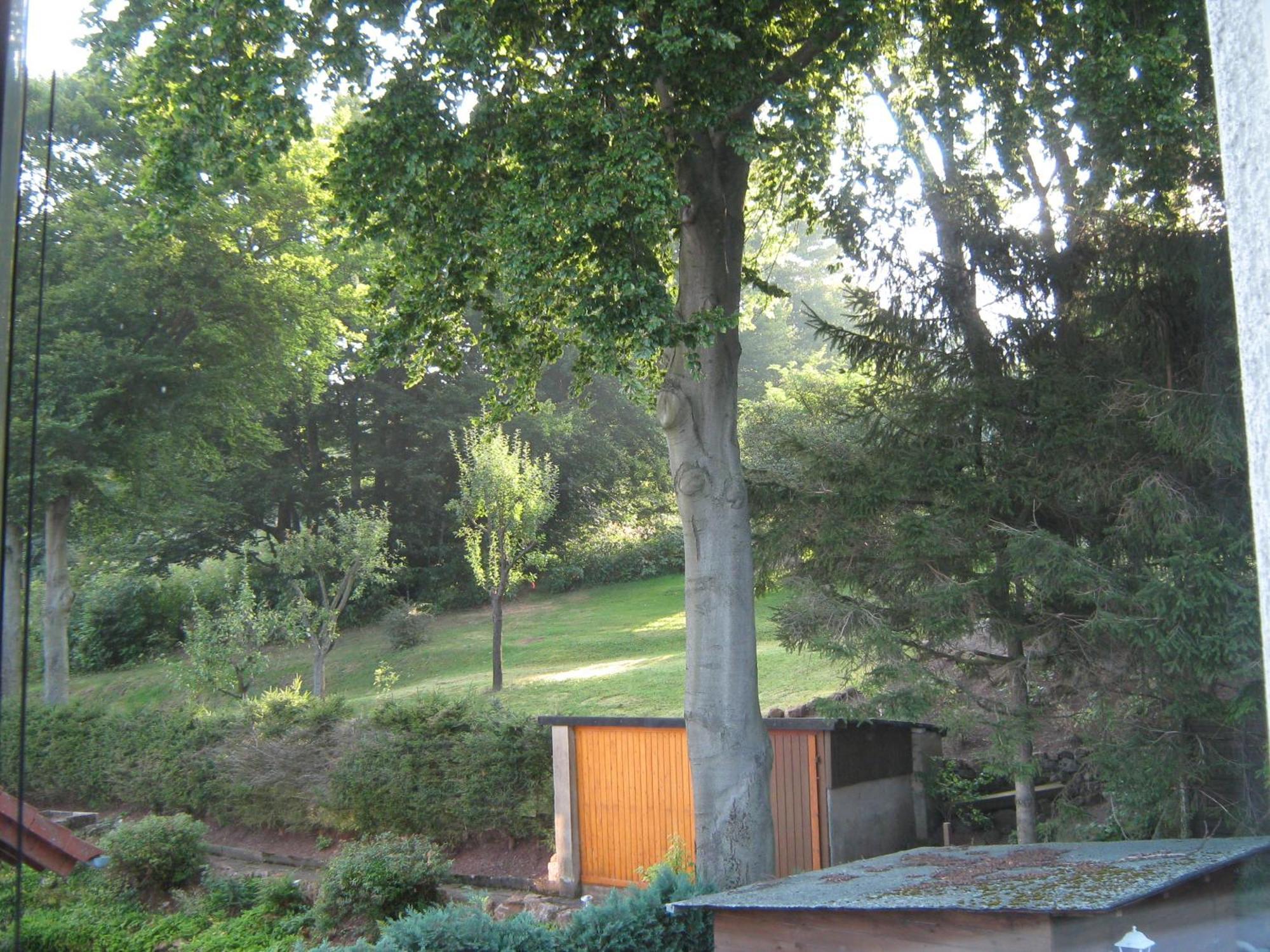 Ferienwohnung Sauerland Panorama Korbach Esterno foto